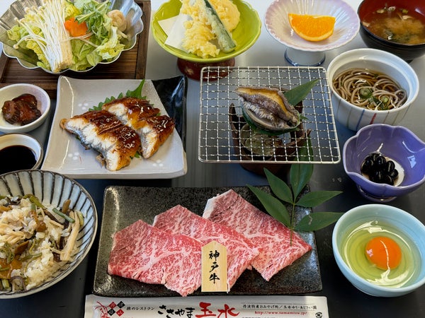 【京滋エリア発】 絶景の藤のカーテン「白毫寺」九尺藤と一億輪の芝桜!三田「花のじゅうたん」 日帰り3